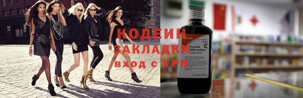 амф Вяземский