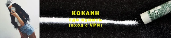 амф Вяземский