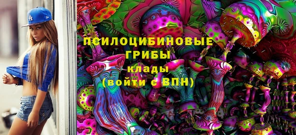 амф Вяземский