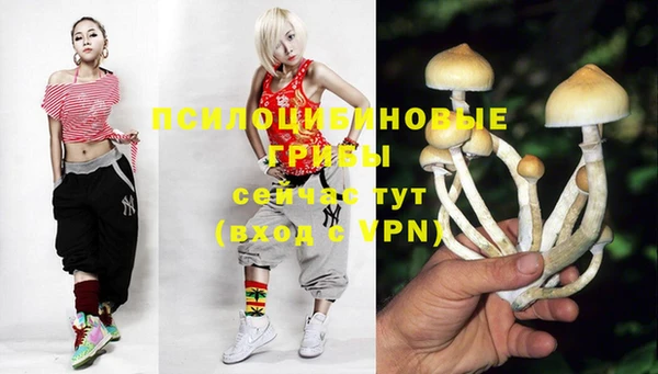 амф Вяземский