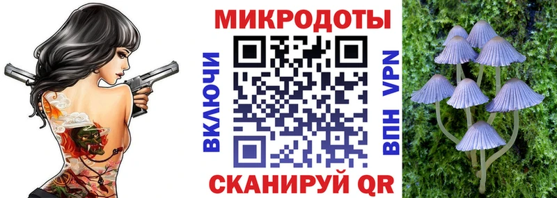 Галлюциногенные грибы GOLDEN TEACHER  Западная Двина 